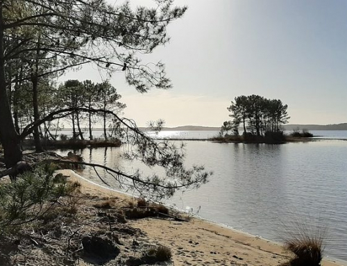 TOP 5 des meilleures plages, étangs et lacs où se baigner en Aquitaine