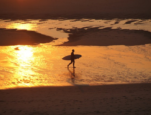 Que visiter à Biscarrosse ?