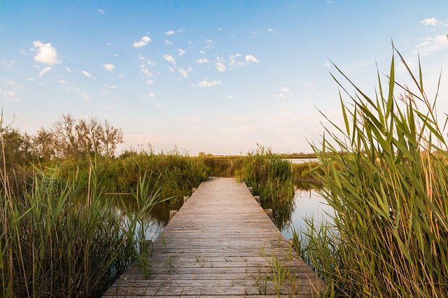 Camargue