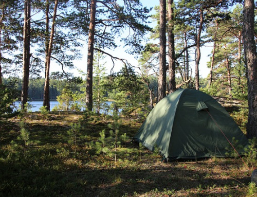 Partir en vacances : quel camping choisir ?